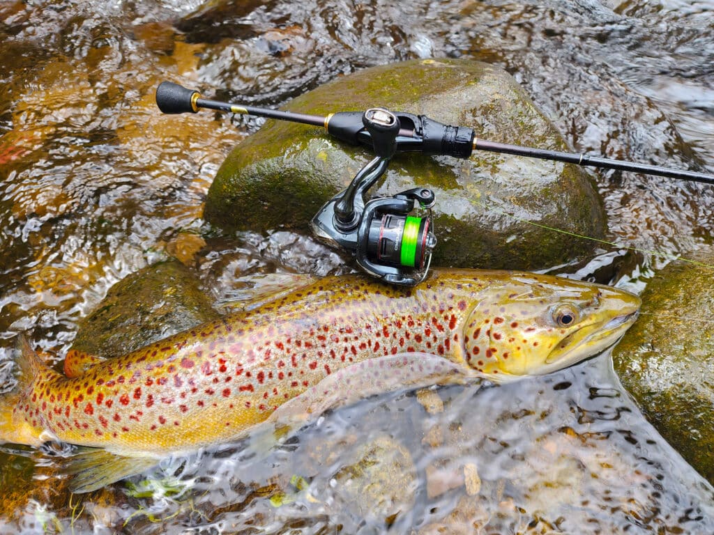 Shimano Vanford 500: A Small But Mighty Fishing Reel