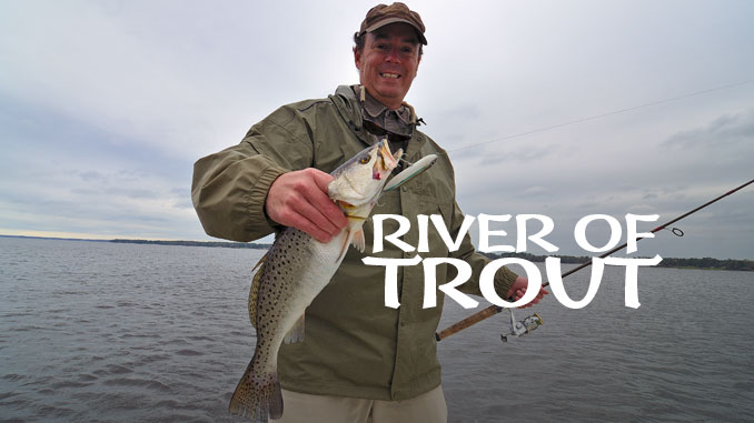 Fall Trout Fishing Excitement Awaits in Neuse River