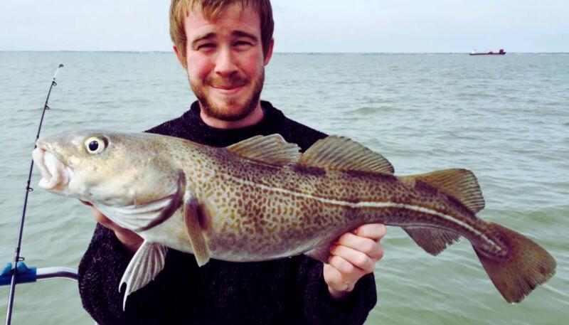 February 2026 Thames Estuary Fishing Report Insights