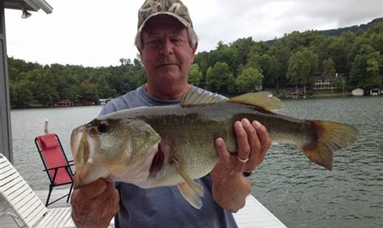 Essential Tips for Successful Lake Lure Fishing Adventures
