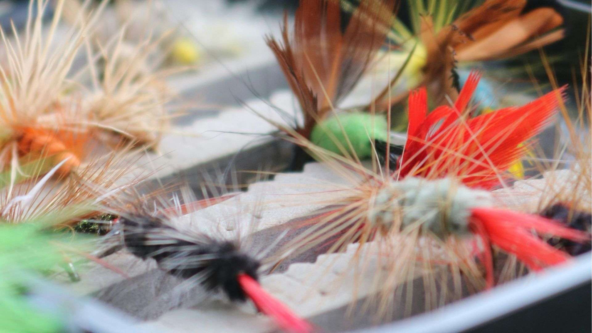 Choosing the Ideal Lure for Successful Fly Fishing