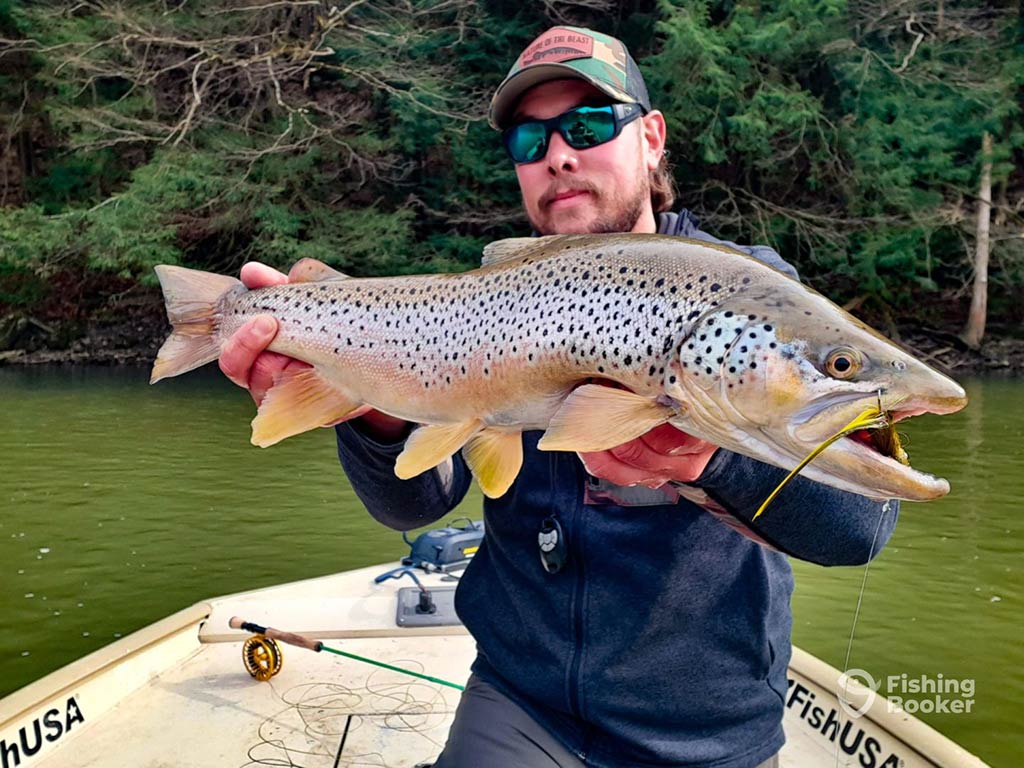 Expert Picks for the Best Swimbaits for Bass Fishing