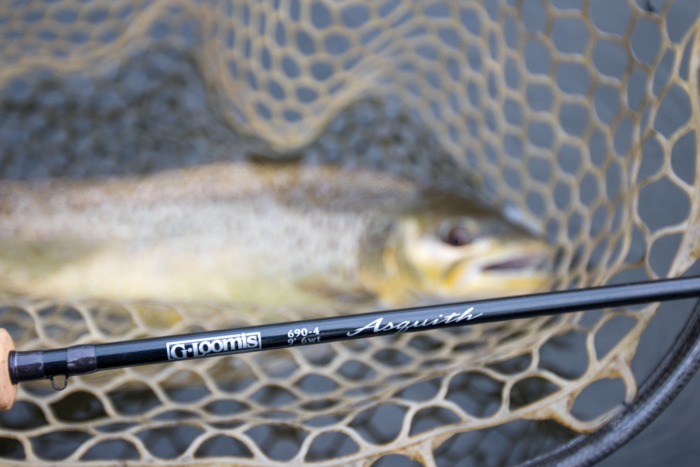 G. Loomis Asquith Fly Rod: A Comprehensive Review of Its Features