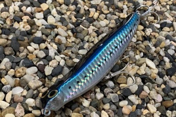 Jackson Unveils XL Version of Debu Nyoro Lure for 2025