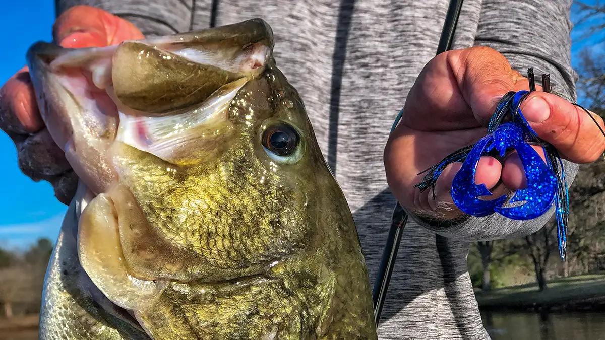 Top Crawfish Lures Dominate Bass Fishing Market as Anglers Seek Realistic Imitations