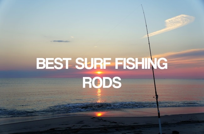 Expert Testing Reveals Top Surf Fishing Rods for 2025 Season