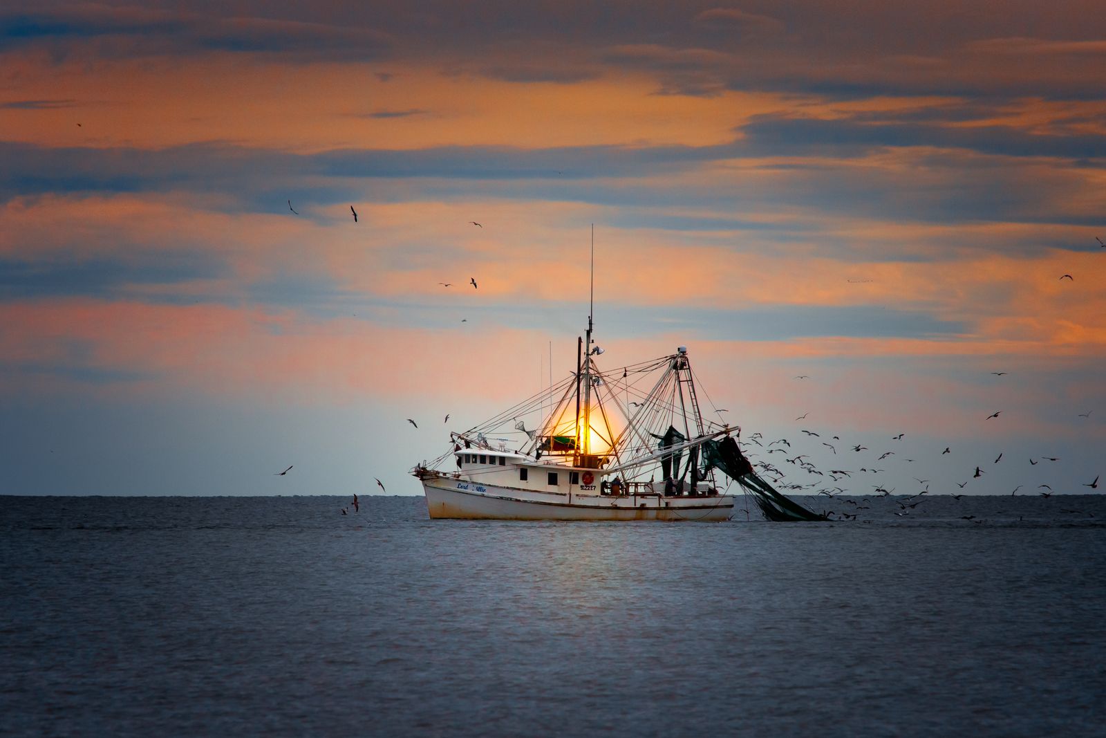 North Carolina Failed Its Own Coastal Fisheries, Court Rules