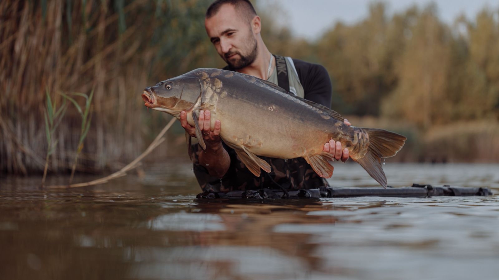 America's Biggest Carp: A Secret 64-Pound Record Falls in California