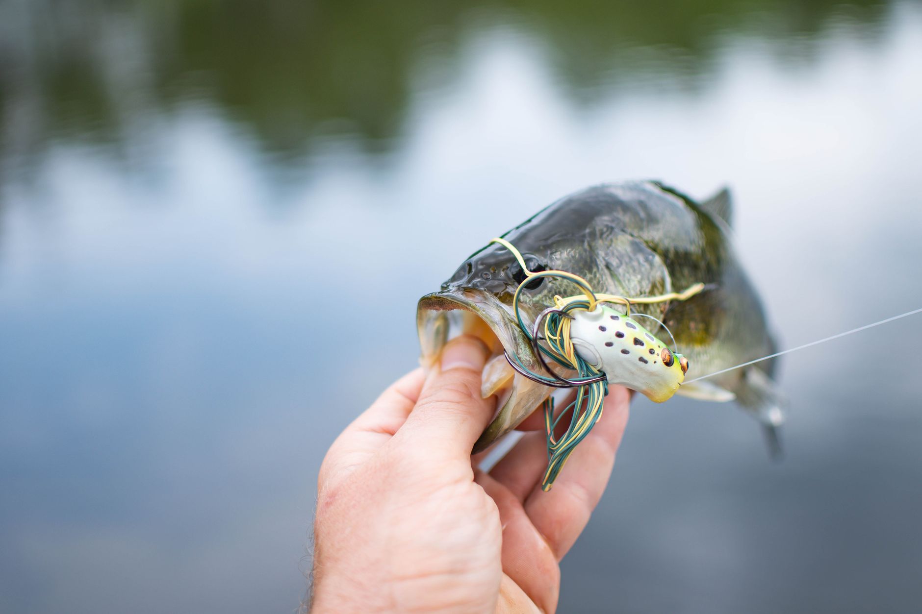 Clear Lake Tops Bassmaster's 2026 Best Bass Lakes List