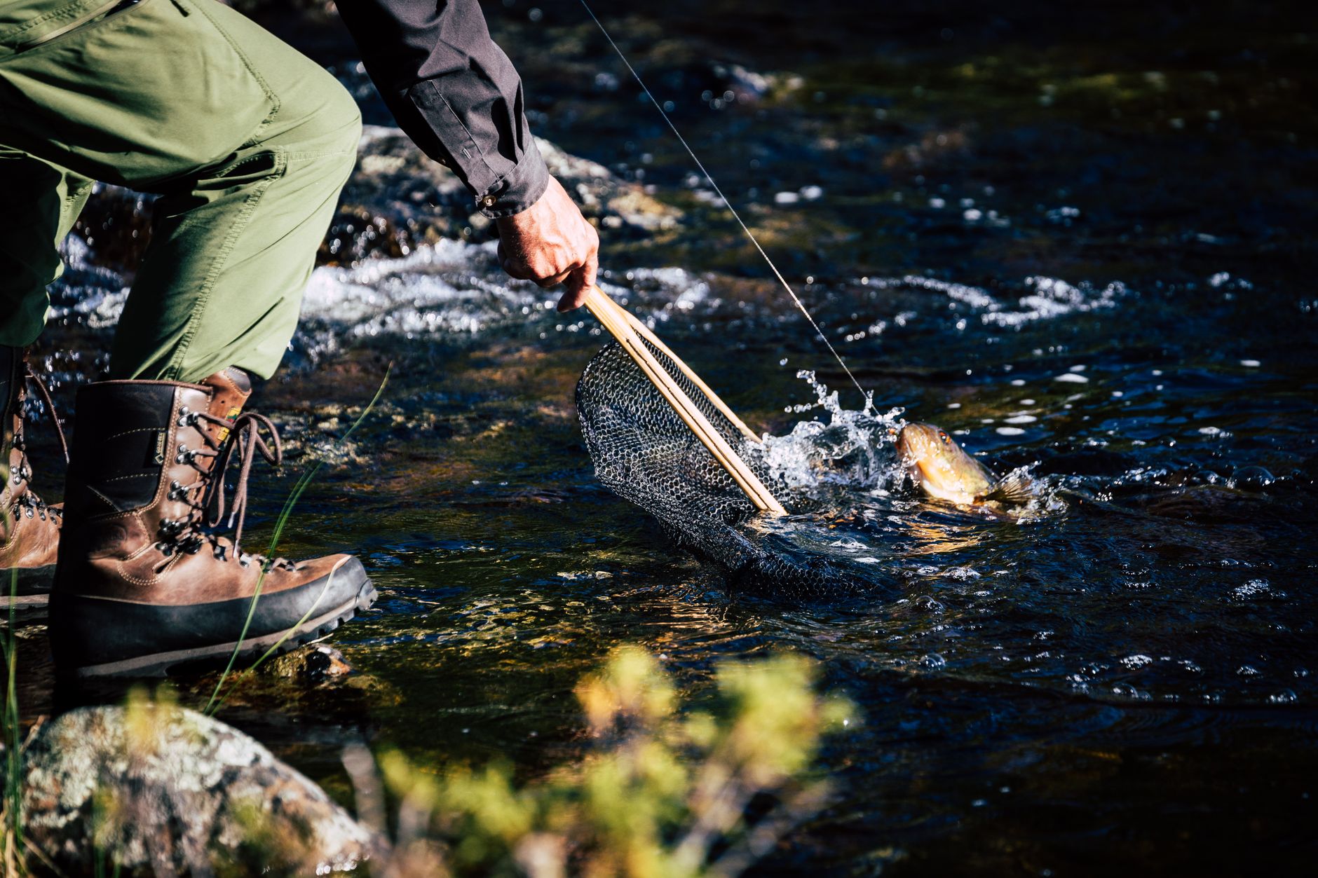 Skip the Net: New Coho Research Rewrites Release Advice