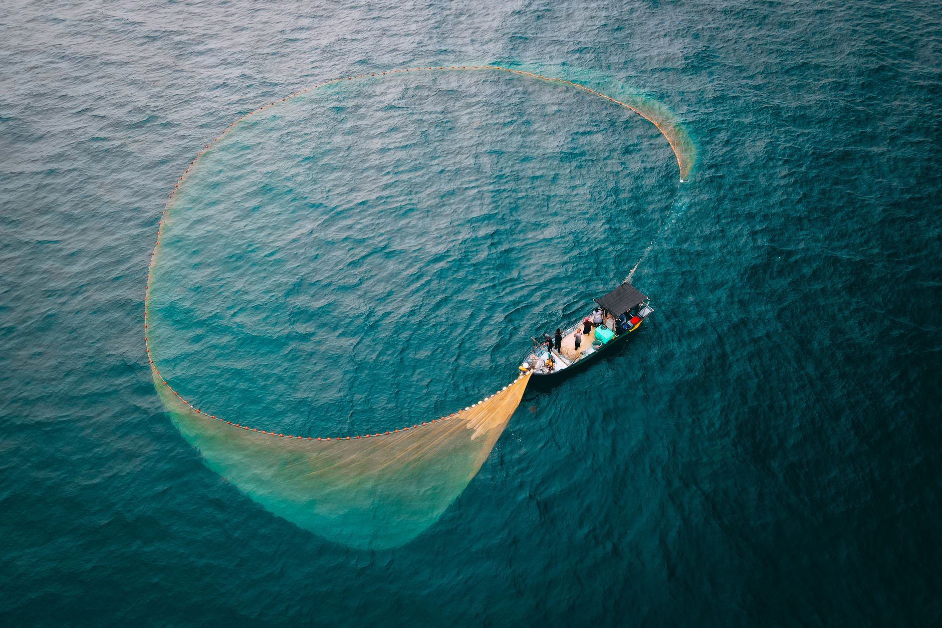 Drifting Tuna Gear Reaches Half the World's Marine Reserves