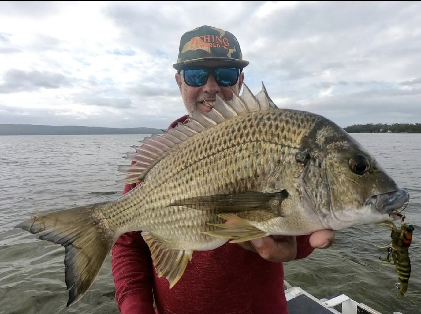 Mastering Bream Fishing: Key Insights from Experienced Anglers