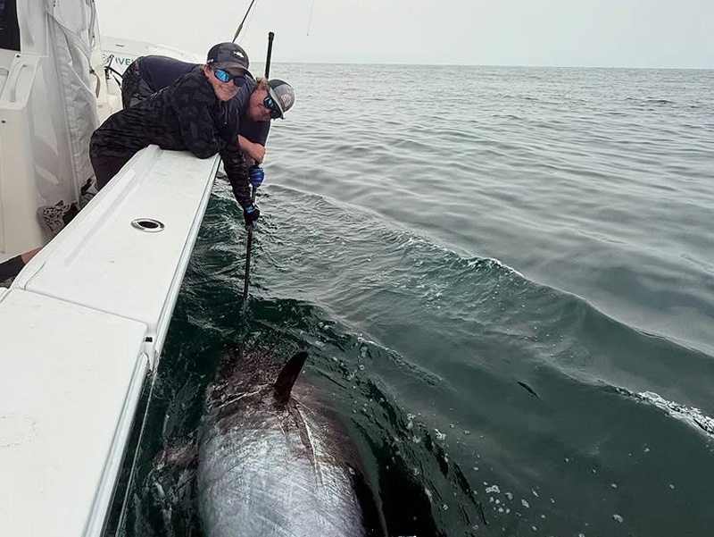 Northeast Offshore Fishing Report – August 2025 Highlights