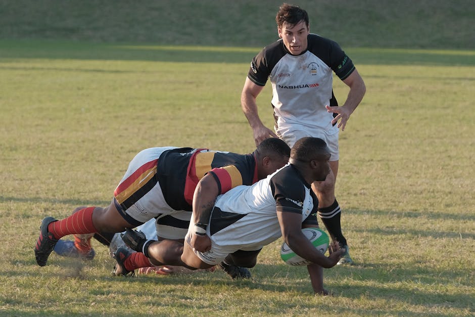 Sharks Land 2.06m, 140kg Schoolboy Lock Sebastian Vermeulen